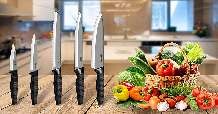 Stainless Steel Kitchen Knife Set of 5 Only $11.99!