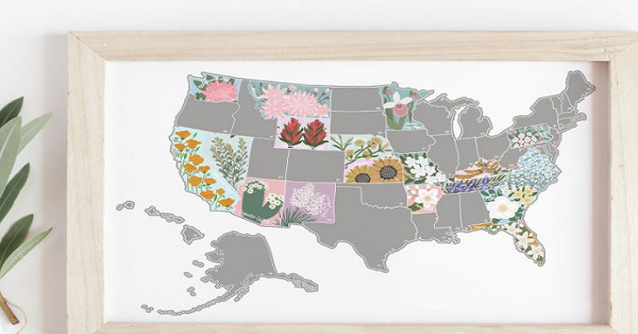 Scratch Your Travels US State Flowers Map (Silver or Gold) Only $16.99! (Reg. $27.99)