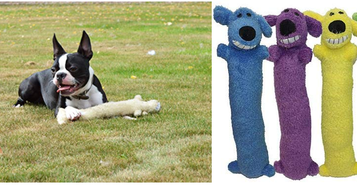 Multipet Loofa Dog Plush Dog Toy Only $1.99! (Reg. $6.15) Add-On Item!