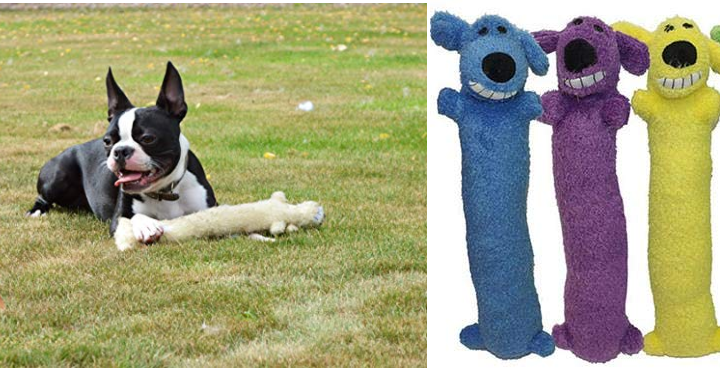 Multipet Loofa Dog Plush Dog Toy Only $1.99! (Reg. $6.15) Add-On Item! Multipet Loofa Dog Plush Dog Toy Only $1.99! (Reg. $6.15) Add-On Item!