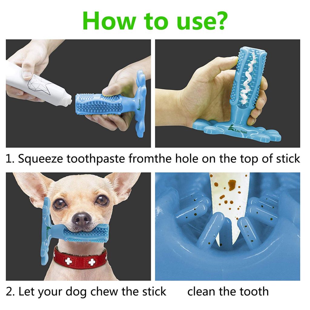 Dog Toy Toothbrush Chew Just $12.64!