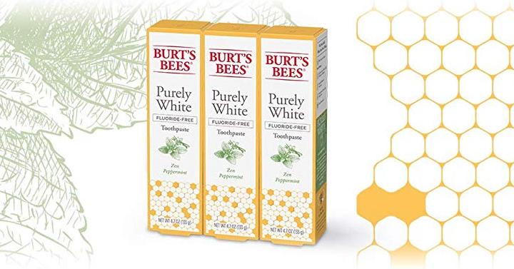 Burt’s Bees Toothpaste, Natural Flavor, Fluoride Free Purely White, Zen Peppermint (3 Count) – Only $9.45!