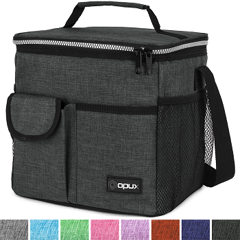 Lunch Box Insulated Bag Only $15.99!