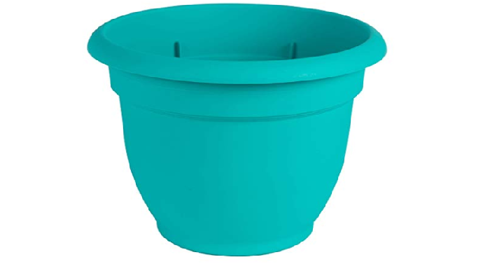 Bloem Ariana Self Watering Planter, 6″ Only $1.18! Great Reviews!