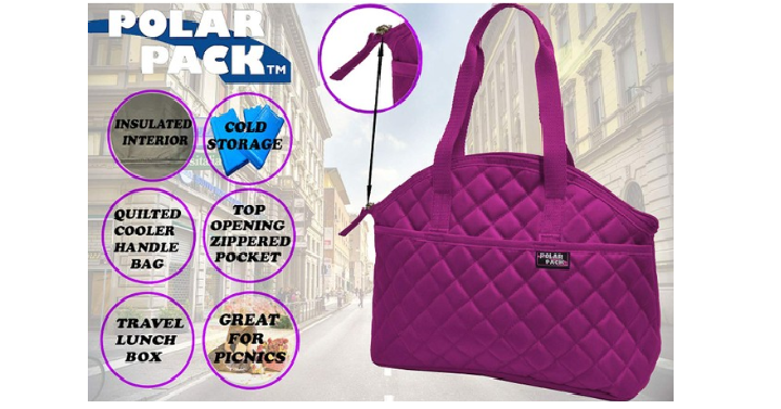 Polar Pack Quilted Carry Handle Cooler Bag Only $10.99 Shipped! 4 Colors to Choose From!