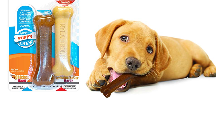 Nylabone Puppy Chew & Dura Chew Peanut Butter Bone Twin Pack Only $2.79 Shipped!