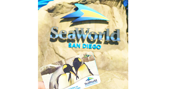 Kids Free Now Through October at SeaWorld San Diego from Get Away Today!