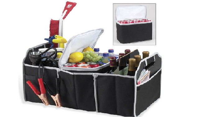 2-in-1 Collapsible Trunk Organizer and Cooler Only $14.99 Shipped!