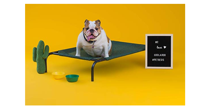 The Original Elevated Pet Bed by Coolaroo Only $13.99! Great Reviews!