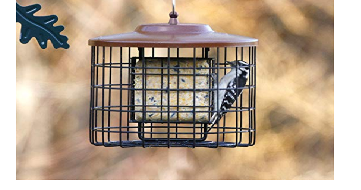Stokes Select Brown X Squirrel Proof Bird Feeder Only $14.65! (Reg. $27)
