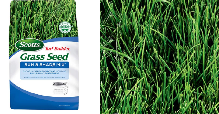 Scotts Turf Builder Grass Seed Sun and Shade Mix, 3 lb. Only $9.19!