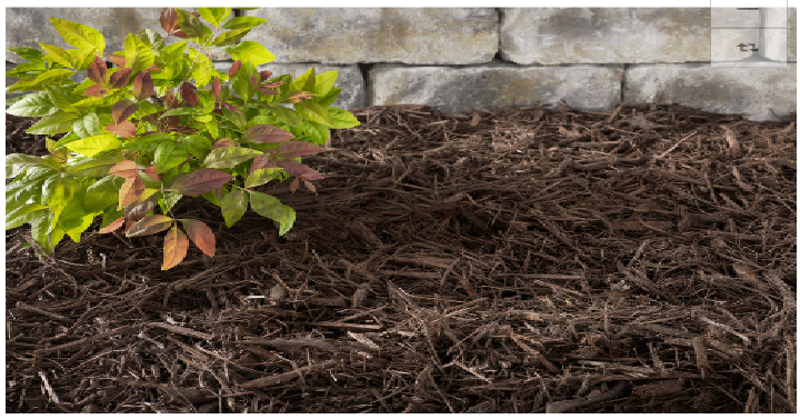 Mulch Bags Only $2.00 at Lowe’s!
