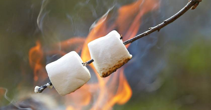 Our Favorite Campfire Treats! Our Favorite Campfire Treats!