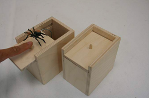 Handcrafted Surprise Box with Spider $1.96!