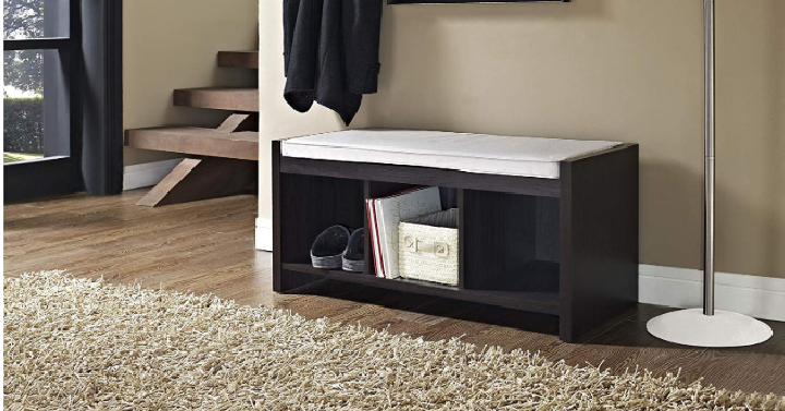 Ameriwood Home Penelope Entryway Storage Bench with Cushion Only $49.99 Shipped!
