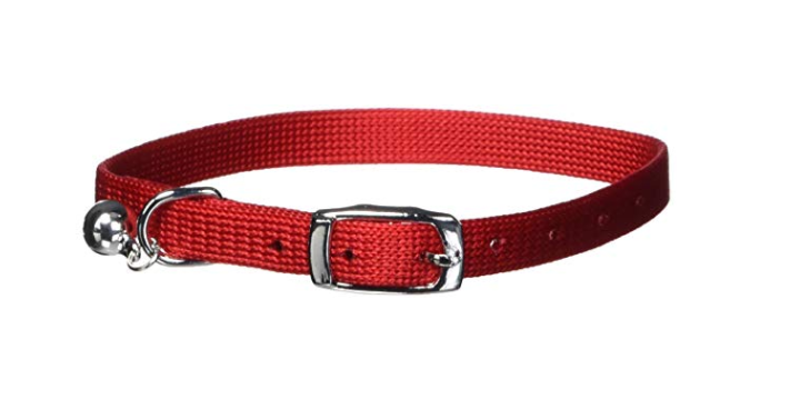 Catit Nylon Adjustable Cat Collar Only $1.00! Great Reviews!