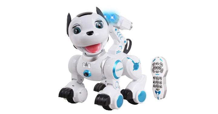 Wowtech Robo Rover – Only $39.99!