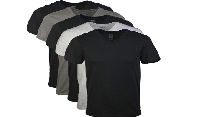 Gildan Men’s Assorted V-Neck T-Shirts Multipack Only $11.97!