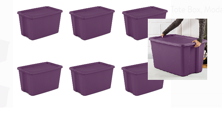 Sterilite 30 Gallon Tote – 6 Pack – Only $32.49!! (Reg. $65) – That’s Only $5.42 a tote!