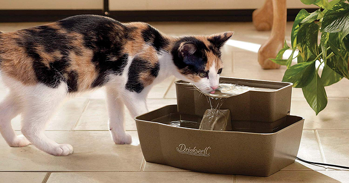 PetSafe Drinkwell Multi-Tier Dog and Cat Water Fountain Only $29.95 Shipped!!