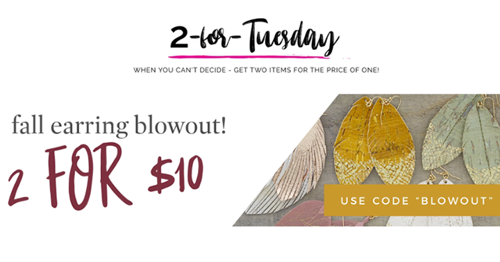 Cents of Style 2 For Tuesday – FUN Earrings – 2 For $10! FREE SHIPPING!