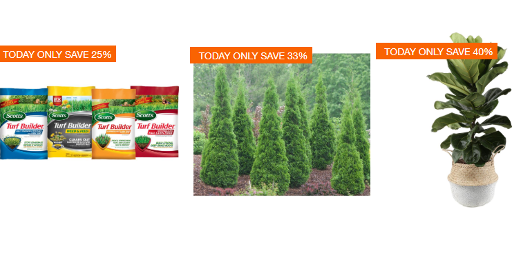 Home Depot: Save Up to 40% off Select Fall Plants, Planters, and Fertilizers! Today Only!