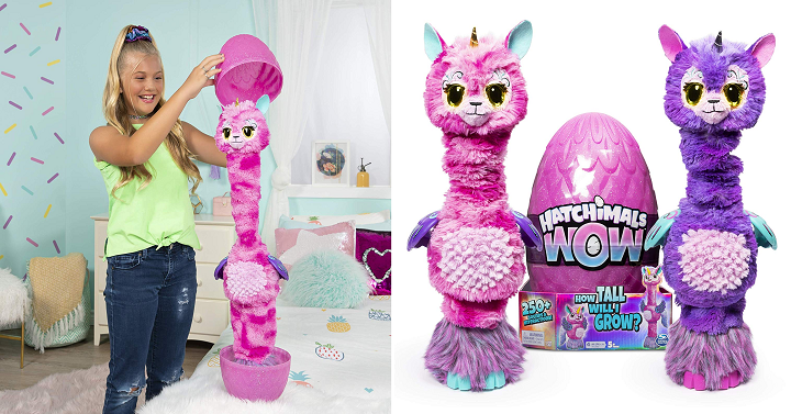 Hatchimals Wow Llalacorn Interactive & Rehatchable Egg Only $67.00! (Reg $77)