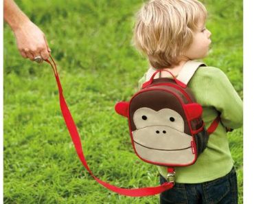 Skip Hop Toddler Leash and Harness Backpack, Zoo Collection (Monkey) – Only $12.62!