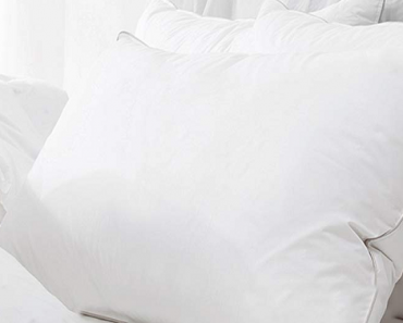 Rosmarus Bed Queen Pillow (Washable/Hypoallergenic) Side Back Sleeper 2 Pack Only $26.99!