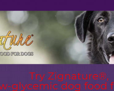 FREE Can of Zignature Dog Food, Coupon, and Goodie Bag!