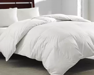 Royal Luxe White Goose Feather & Down 240-Thread Count Comforter (ANY Size)Only $44.99 Shipped! (Reg. $200)
