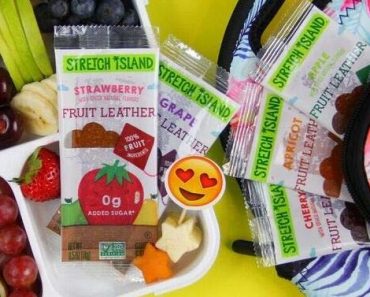 Stretch Island Fruit Leather Snacks Variety Pack – Only $10!