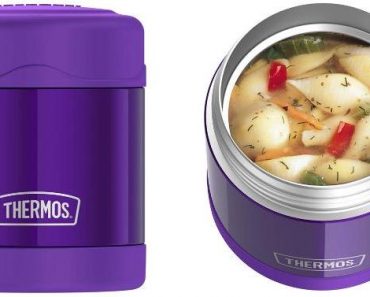 Thermos Funtainer 10 Ounce Food Jar (Violet) – Only $11.59!