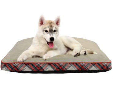 Holiday Time Gusseted Pet Bed Just $9.91!