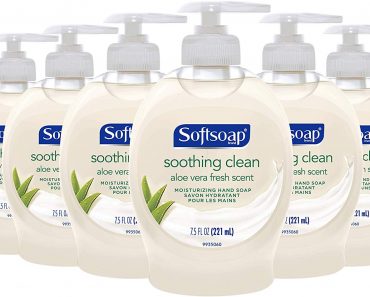 Softsoap Liquid Hand Soap, Aloe (Pack of 6) – Only $5.94!