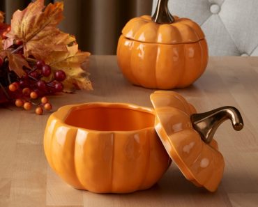 Set of Two Pumpkin Bowls With Lids Only $5.97!