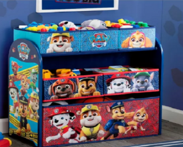 PAW Patrol Kids Multi-Bin Toy Organizer Only $19.99! (Reg. $40)