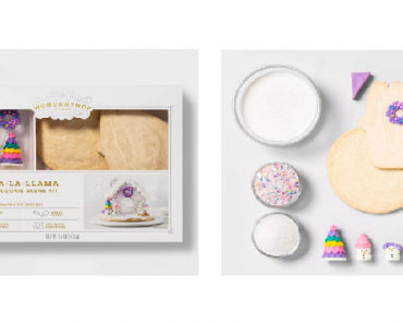 Fa-La-La-Llama Holiday Cookie – 15oz – Wondershop™ Kits Only $9.99!