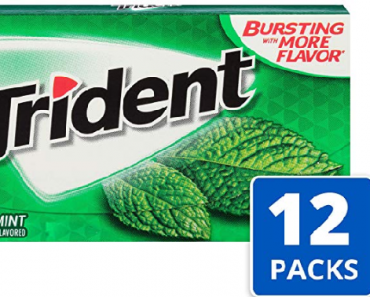 Trident Spearmint Flavor Sugar Free Gum—12 Packs Only $5.54 Shipped! That’s Only $0.46 Per Pack!