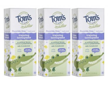 Tom’s of Maine Toddlers Fluoride-Free Natural Toothpaste in Gel (3 Count) – Only $5.68!