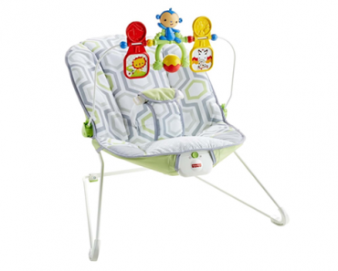 Fisher-Price Baby’s Bouncer Geo Meadow – Just $18.99!