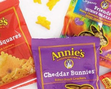 Annie’s Variety Snack Pack, Cheddar Bunnies, Friends Bunny Grahams and Cheddar Squares, Baked Snack Crackers, 12 Pouches – Only $3.50!