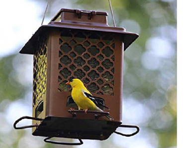 Stokes Select Metal Hopper Bird Feeder, 4 Feeding Ports Only $15! (Reg. $30)