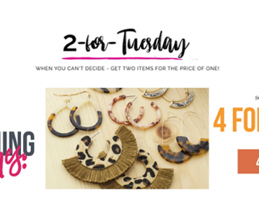 Cents of Style 2 For Tuesday – Fun Accessories – 4 for $24.00! FREE SHIPPING!