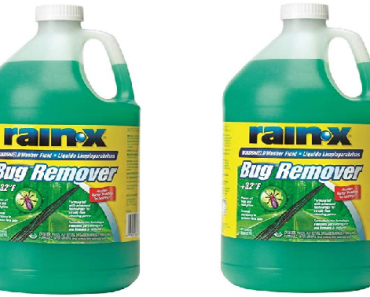 Rain-X Bug Remover Only $2.47 Shipped!