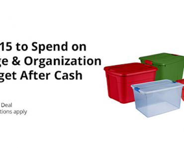 Last Day! Awesome Freebie! Get a FREE $15 to spend on Storage or Organization at Target from TopCashBack!
