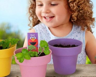 Green Toys Sesame Street Abby’s Garden Set – Only $7.82!