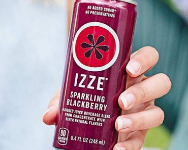 IZZE Sparkling Juice, Blackberry, 8.4 Fl Oz (24 Count) – Only $15.07!