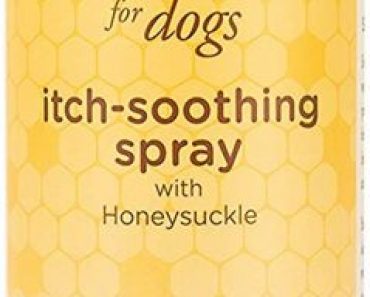 Burt’s Bees for Dogs Natural Itch Soothing Shampoo with Honeysuckle $1.07!