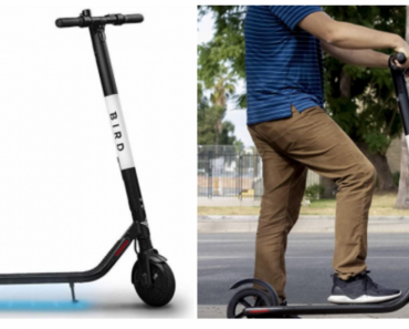 Bird ES1-300 Electric Scooter with 300 Watt Motor and Digital LED Display (Renewed) $289.99 Today Only!
